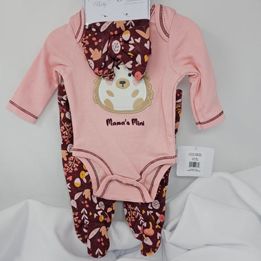 Girls 3 Piece Set-Pink Floral Hedgehog